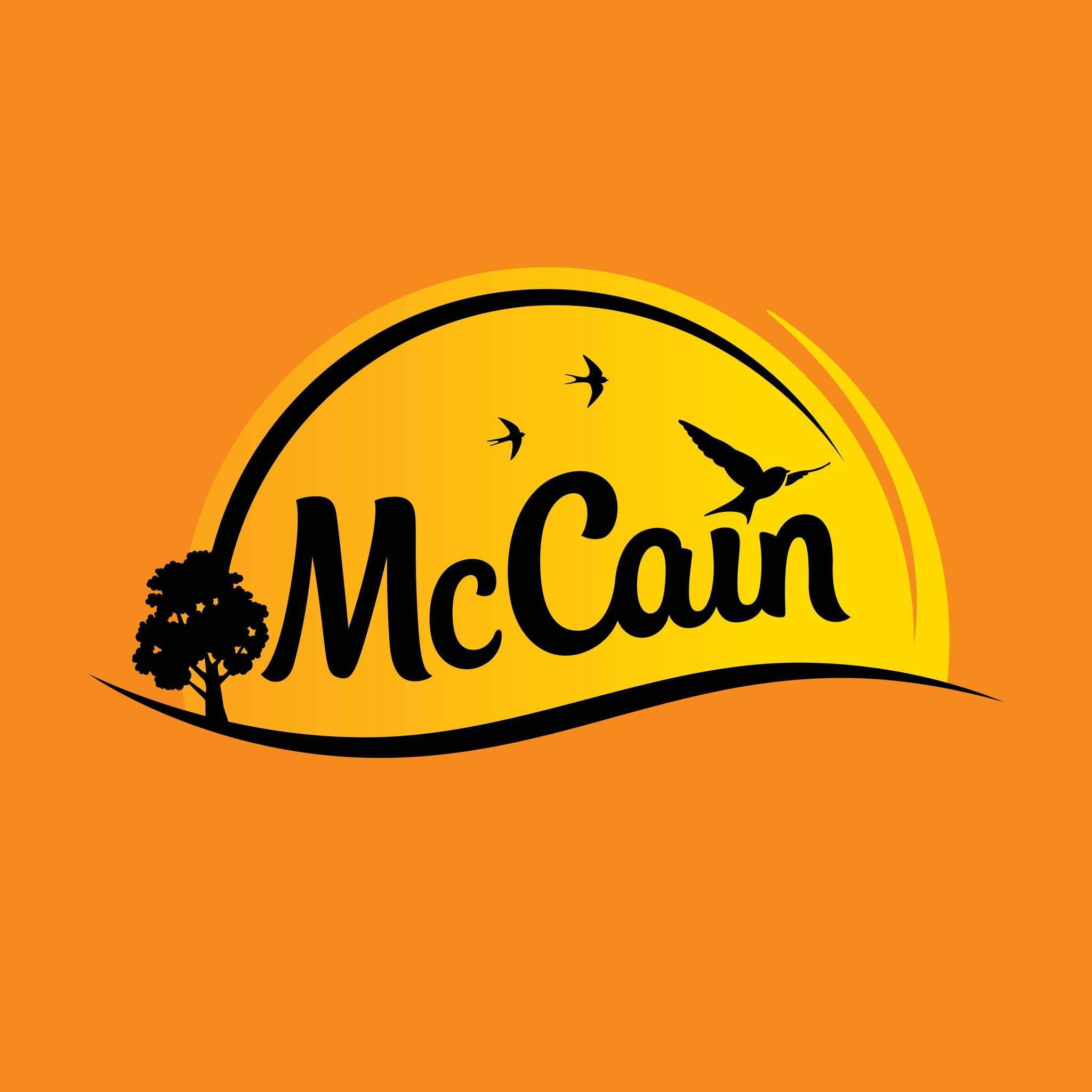 15 Things You Should Know About McCain South Africa - Foodie